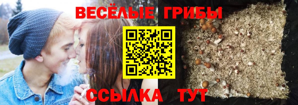 Рассказово  Псилоцибиновые грибы GOLDEN TEACHER  Вход с VPN 